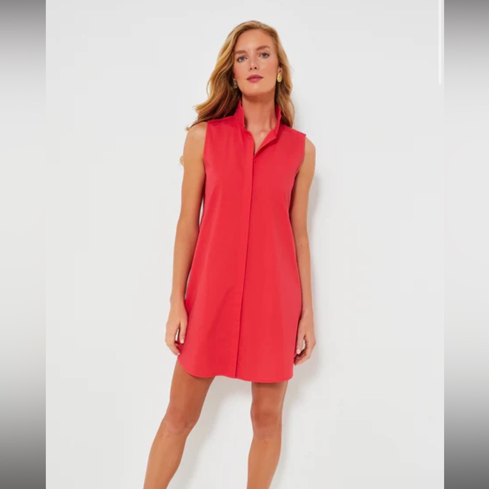 Tuckernuck Charlie dress